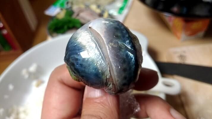 千葉外房堤防で釣った小サバをしめ鯖の手毬寿司と干物に!【釣りメシ】 千葉外房堤防で釣った小サバをしめ鯖の手毬寿司と干物に!【釣りメシ】
