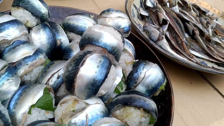 千葉外房堤防で釣った小サバをしめ鯖の手毬寿司と干物に!【釣りメシ】 千葉外房堤防で釣った小サバをしめ鯖の手毬寿司と干物に!【釣りメシ】