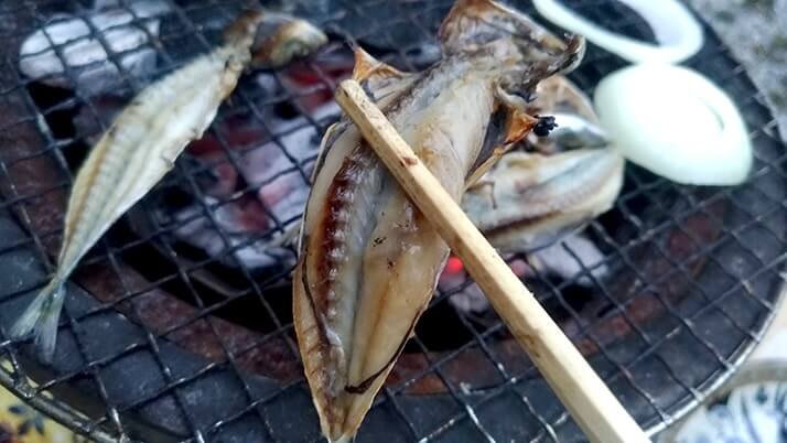 千葉外房堤防で釣った小サバをしめ鯖の手毬寿司と干物に!【釣りメシ】 千葉外房堤防で釣った小サバをしめ鯖の手毬寿司と干物に!【釣りメシ】