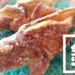 釣ったカサゴを素揚げに!骨まで食べるためのさばき方を試してみた 釣ったカサゴを素揚げに!骨まで食べるためのさばき方を試してみた