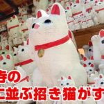 赤坂あべちゃんで昼メシ！やっこ＋牛にこみ定食が早安旨！！