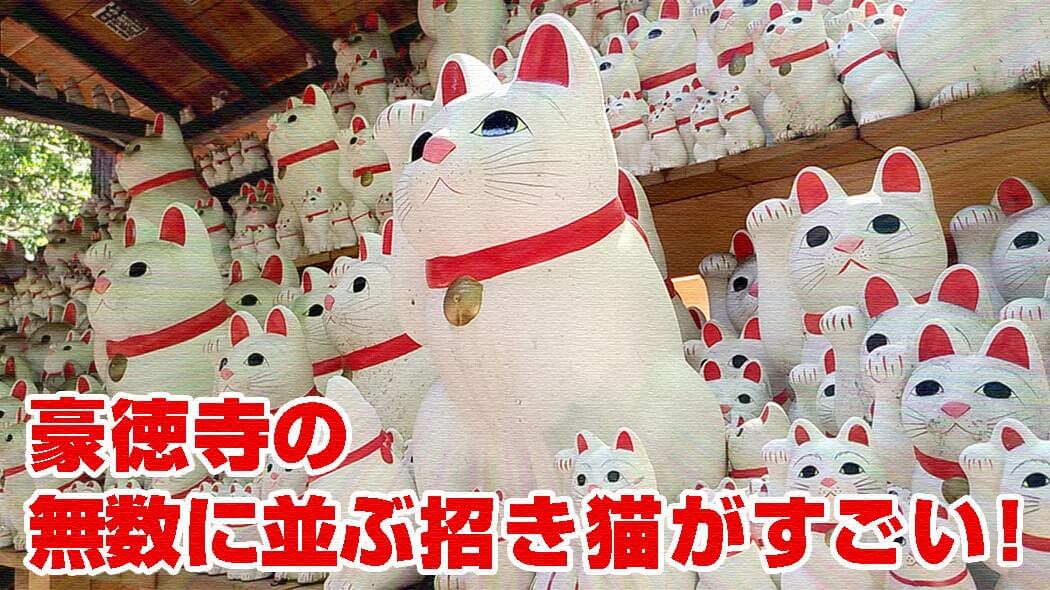 招き猫発祥の地！豪徳寺に無数に並ぶ招き猫は美人さんだらけ！！