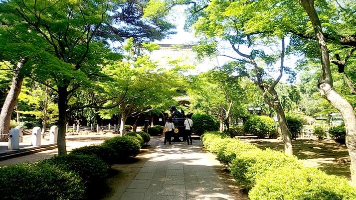 招き猫発祥の地！豪徳寺に無数に並ぶ招き猫は美人さんだらけ！！