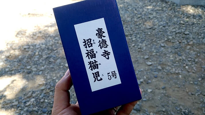 招き猫発祥の地！豪徳寺に無数に並ぶ招き猫は美人さんだらけ！！