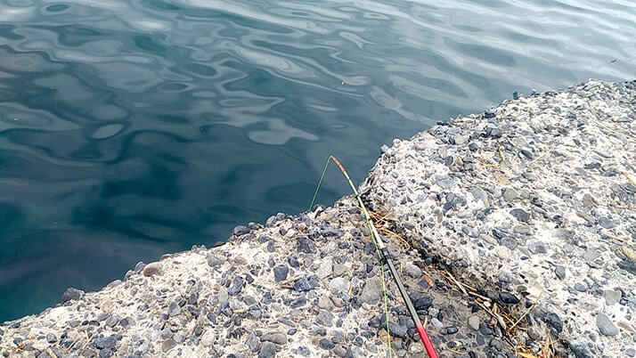 千葉館山自衛隊堤防釣り!釣れる魚種(外道)は豊富も本命ならずの五目釣り 千葉館山自衛隊堤防釣り!釣れる魚種(外道)は豊富も本命ならずの五目釣り