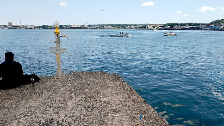 千葉館山自衛隊堤防釣り!釣れる魚種(外道)は豊富も本命ならずの五目釣り 千葉館山自衛隊堤防釣り!釣れる魚種(外道)は豊富も本命ならずの五目釣り