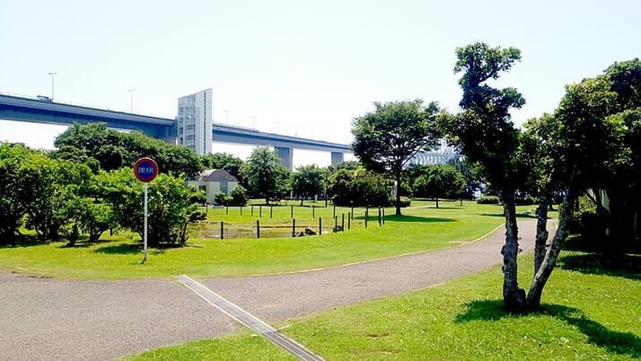 若洲海浜公園でキャンプ時々釣り!イワシはくじら騒動で逃亡?? 若洲海浜公園でキャンプ時々釣り!イワシはくじら騒動で逃亡??