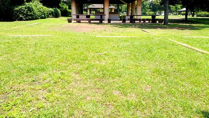 若洲海浜公園でキャンプ時々釣り!イワシはくじら騒動で逃亡?? 若洲海浜公園でキャンプ時々釣り!イワシはくじら騒動で逃亡??