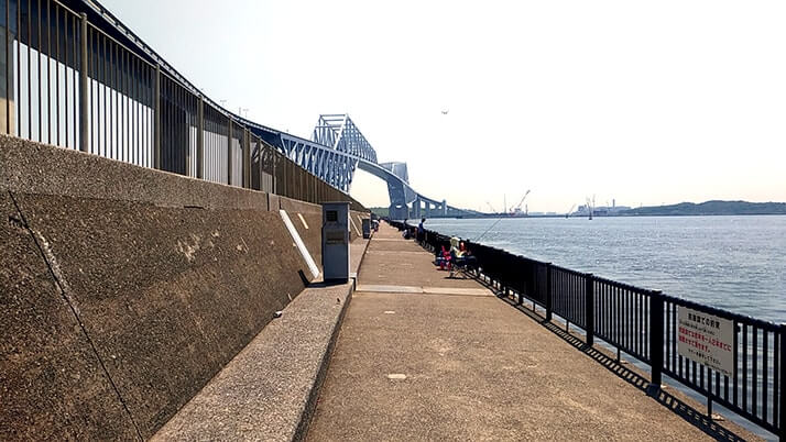 若洲海浜公園でキャンプ時々釣り!イワシはくじら騒動で逃亡?? 若洲海浜公園でキャンプ時々釣り!イワシはくじら騒動で逃亡??