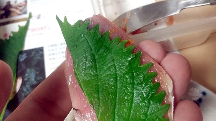 釣りたて小サバ・イワシの絶品フライ!千葉内房堤防で釣った魚を食す 釣りたて小サバ・イワシの絶品フライ!千葉内房堤防で釣った魚を食す