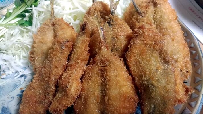 釣りたて小サバ・イワシの絶品フライ!千葉内房堤防で釣った魚を食す 釣りたて小サバ・イワシの絶品フライ!千葉内房堤防で釣った魚を食す