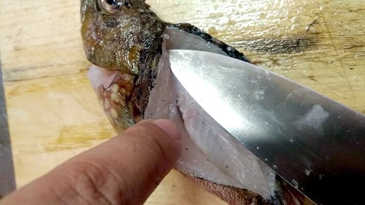釣ったカサゴを素揚げに!骨まで食べるためのさばき方を試してみた 釣ったカサゴを素揚げに!骨まで食べるためのさばき方を試してみた
