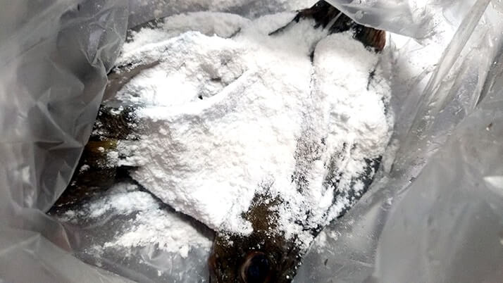 釣ったカサゴを素揚げに!骨まで食べるためのさばき方を試してみた 釣ったカサゴを素揚げに!骨まで食べるためのさばき方を試してみた