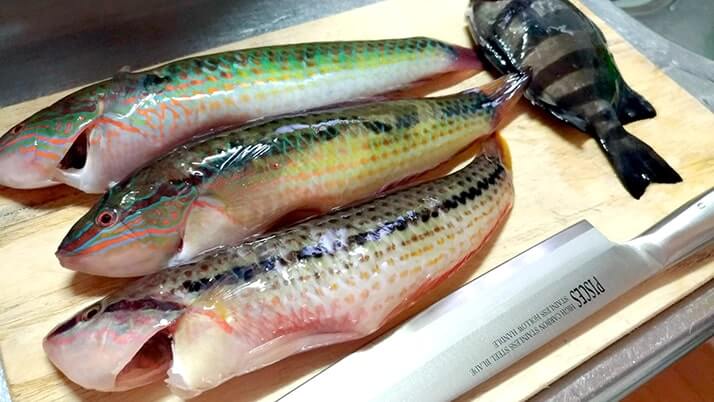 ベラも日干しにすれば旨い肴に!釣りたてベラ干物の炭火焼で一杯 ベラも日干しにすれば旨い肴に!釣りたてベラ干物の炭火焼で一杯
