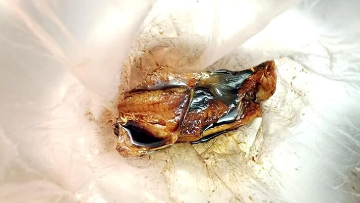 ベラも日干しにすれば旨い肴に!釣りたてベラ干物の炭火焼で一杯 ベラも日干しにすれば旨い肴に!釣りたてベラ干物の炭火焼で一杯
