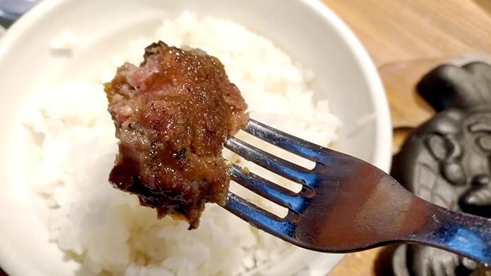 ブロンコビリーの極み炭焼きハンバーグが肉々しくて旨旨！