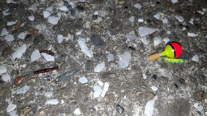 江戸川でテナガエビを餌にウナギ釣り!だけど釣れるのはニゴイばかり… 江戸川でテナガエビを餌にウナギ釣り!だけど釣れるのはニゴイばかり…
