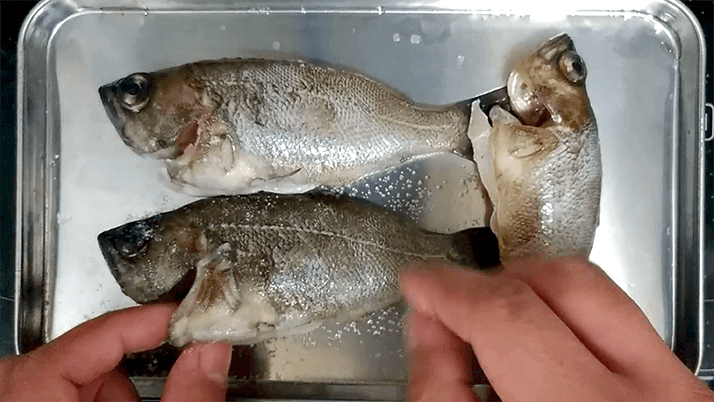釣ったメバルでアクアパッツァ!〆パスタも絶品のイタリアン釣りメシ 釣ったメバルでアクアパッツァ!〆パスタも絶品のイタリアン釣りメシ