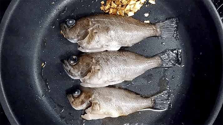 釣ったメバルでアクアパッツァ!〆パスタも絶品のイタリアン釣りメシ 釣ったメバルでアクアパッツァ!〆パスタも絶品のイタリアン釣りメシ