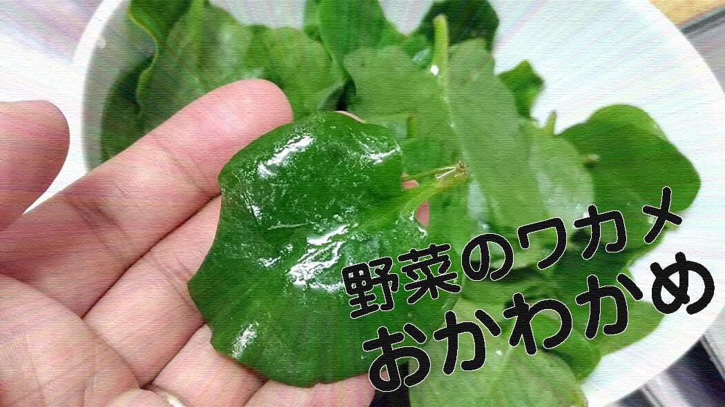 おかわかめ！野菜のワカメを湯がいて食べればワカメ食感！！