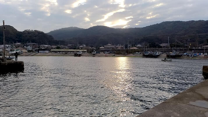 千葉内房堤防での釣りで良型カサゴ&ムラソイ!キスも釣れた秋終盤五目釣り 千葉内房堤防での釣りで良型カサゴ&ムラソイ!キスも釣れた秋終盤五目釣り