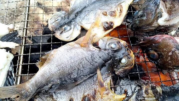 シロギスは干物にしても旨い!釣った魚を一夜干しとホイル焼きにした釣り飯 シロギスは干物にしても旨い!釣った魚を一夜干しとホイル焼きにした釣り飯