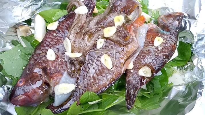 シロギスは干物にしても旨い!釣った魚を一夜干しとホイル焼きにした釣り飯 シロギスは干物にしても旨い!釣った魚を一夜干しとホイル焼きにした釣り飯