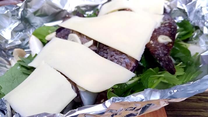 シロギスは干物にしても旨い!釣った魚を一夜干しとホイル焼きにした釣り飯 シロギスは干物にしても旨い!釣った魚を一夜干しとホイル焼きにした釣り飯