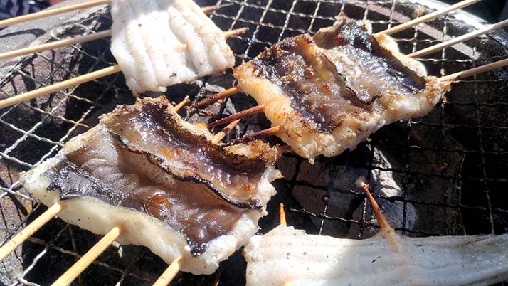 釣魚の料理方法まとめ!刺身・煮魚・天ぷら…釣り飯どれにする? 釣魚の料理方法まとめ!刺身・煮魚・天ぷら…釣り飯どれにする?