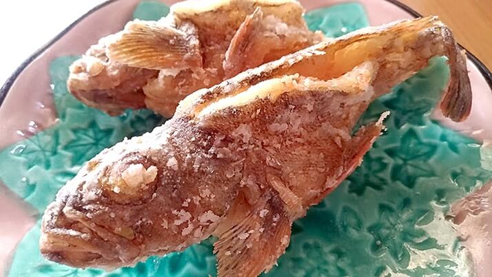 釣魚の料理方法まとめ!刺身・煮魚・天ぷら…釣り飯どれにする? 釣魚の料理方法まとめ!刺身・煮魚・天ぷら…釣り飯どれにする?