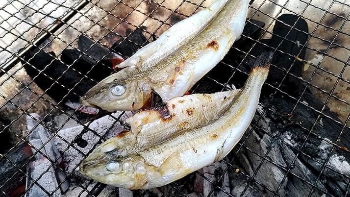 釣魚の料理方法まとめ!刺身・煮魚・天ぷら…釣り飯どれにする? 釣魚の料理方法まとめ!刺身・煮魚・天ぷら…釣り飯どれにする?