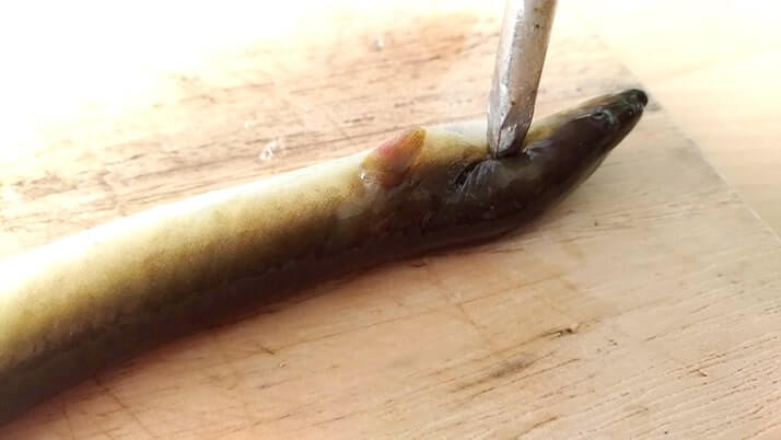 釣ったウナギを捌いて蒲焼→ひつまぶしにしたら激ウマ!【江戸川産】 釣ったウナギを捌いて蒲焼→ひつまぶしにしたら激ウマ!【江戸川産】