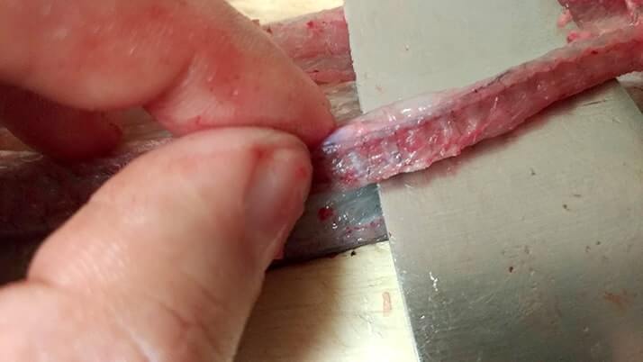 釣ったウナギを捌いて蒲焼→ひつまぶしにしたら激ウマ!【江戸川産】 釣ったウナギを捌いて蒲焼→ひつまぶしにしたら激ウマ!【江戸川産】