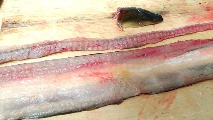 釣ったウナギを捌いて蒲焼→ひつまぶしにしたら激ウマ!【江戸川産】 釣ったウナギを捌いて蒲焼→ひつまぶしにしたら激ウマ!【江戸川産】