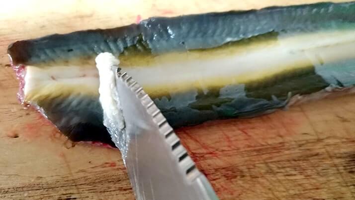 釣ったウナギを捌いて蒲焼→ひつまぶしにしたら激ウマ!【江戸川産】 釣ったウナギを捌いて蒲焼→ひつまぶしにしたら激ウマ!【江戸川産】