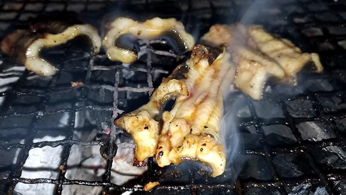 釣ったウナギを捌いて蒲焼→ひつまぶしにしたら激ウマ!【江戸川産】 釣ったウナギを捌いて蒲焼→ひつまぶしにしたら激ウマ!【江戸川産】