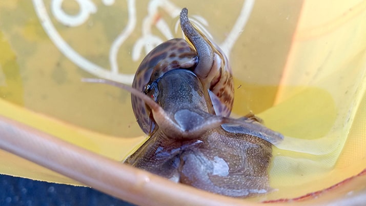新年明けましての冬釣り!千葉内房堤防釣りも…釣れたのは貝? 新年明けましての冬釣り!千葉内房堤防釣りも…釣れたのは貝?