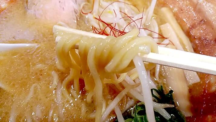 麺匠八雲本店で味噌・醤油ラーメンこだわりの一杯【堀切菖蒲園】