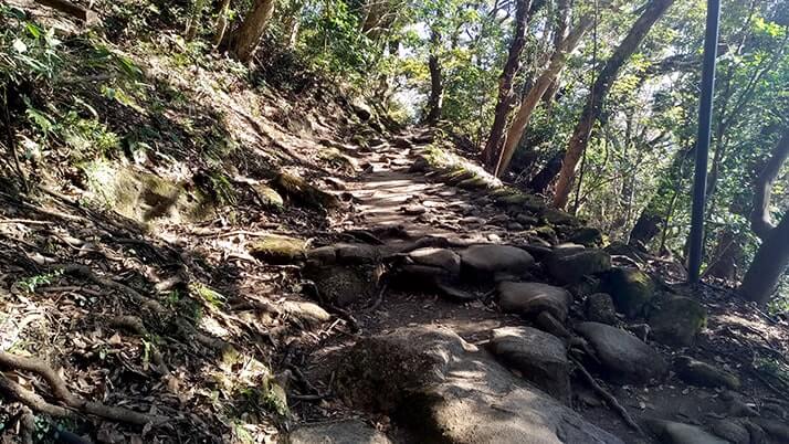 東海千五百羅漢｜1553体の石仏が並ぶ圧巻の光景！【鋸山日本寺】