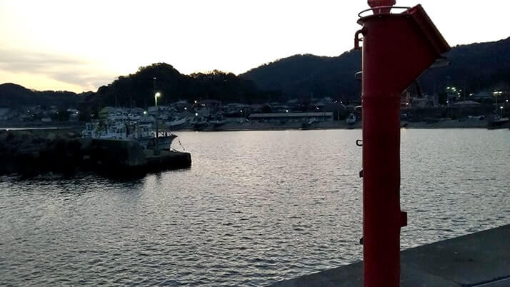 初フカセ釣りでチヌ(黒鯛)!冬の千葉内房堤防で本命GET 初フカセ釣りでチヌ(黒鯛)!冬の千葉内房堤防で本命GET