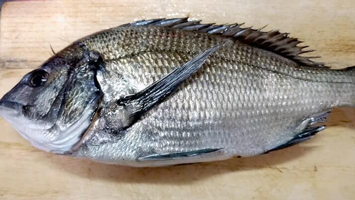 黒鯛(チヌ)の刺身と昆布締め!〆は昆布締め鯛茶漬け…うまぁ【釣りメシ】 黒鯛(チヌ)の刺身と昆布締め!〆は昆布締め鯛茶漬け…うまぁ【釣りメシ】