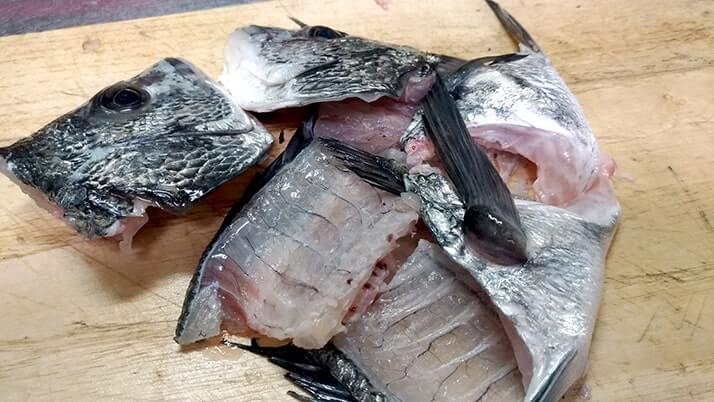 黒鯛(チヌ)の刺身と昆布締め!〆は昆布締め鯛茶漬け…うまぁ【釣りメシ】 黒鯛(チヌ)の刺身と昆布締め!〆は昆布締め鯛茶漬け…うまぁ【釣りメシ】