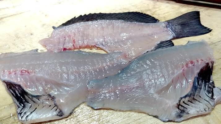 ドンコと黒鯛のアラをいれた絶品鍋!グレの焼霜造りも美味 ドンコと黒鯛のアラをいれた絶品鍋!グレの焼霜造りも美味