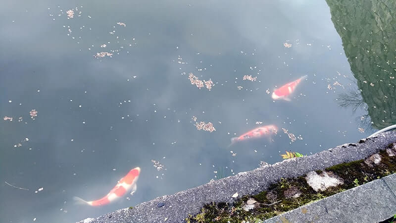 広島三原旅の始まりは三原城跡で駅弁！漫遊弁当・浮城弁当