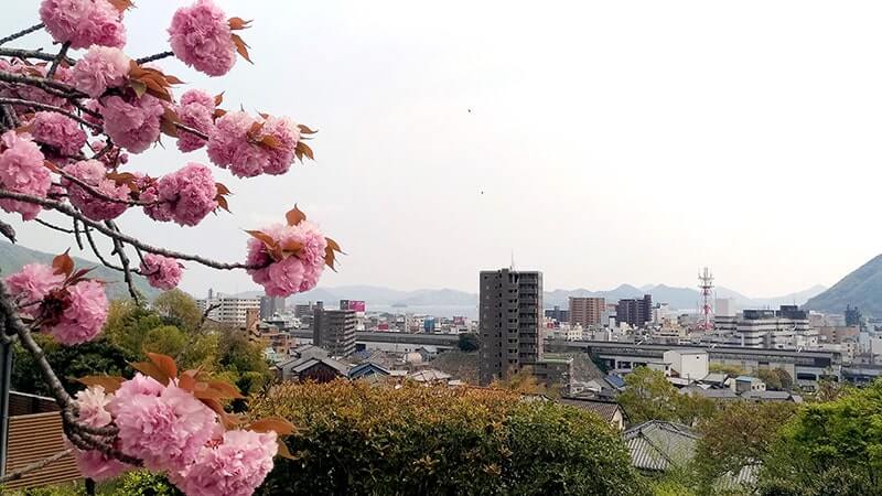 三原八幡宮・大島神社・法常・妙正・宗光・順勝寺…広島三原神社仏閣巡り