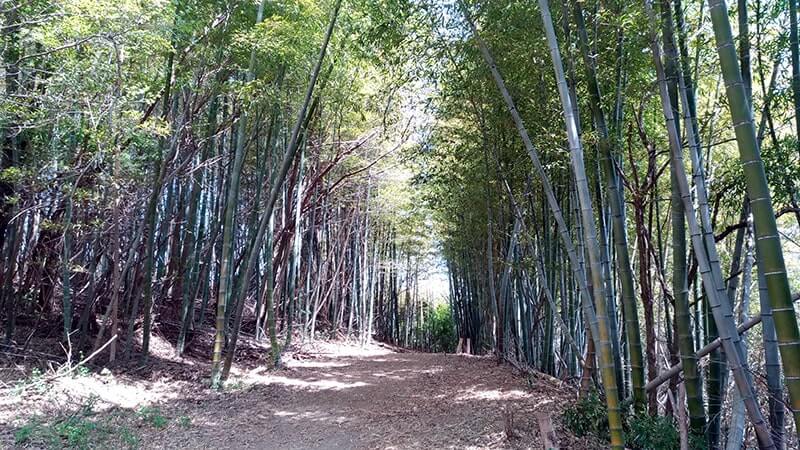 広島三原の離島「佐木島」を自転車で巡る！【広島三原旅】