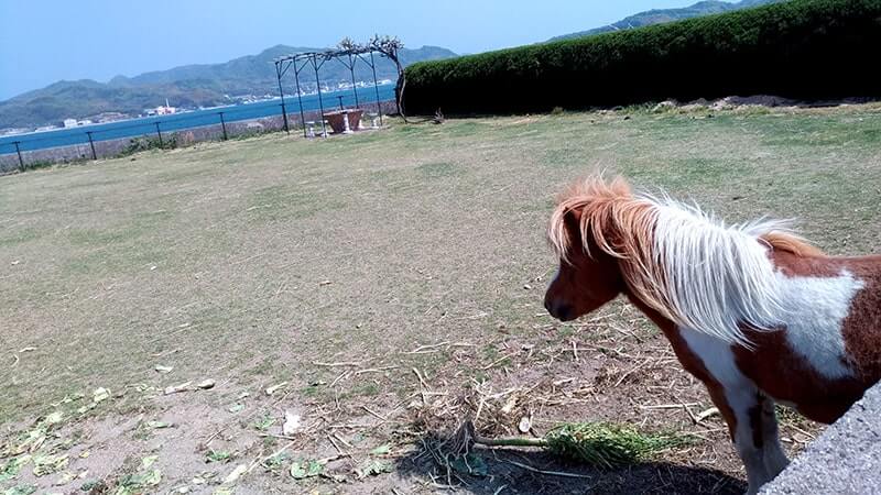 離島「佐木島」で海を見ながら駅弁！と、島唯一のパン屋さん【広島三原旅】