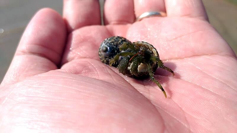 離島「佐木島」で海を見ながら駅弁！と、島唯一のパン屋さん【広島三原旅】