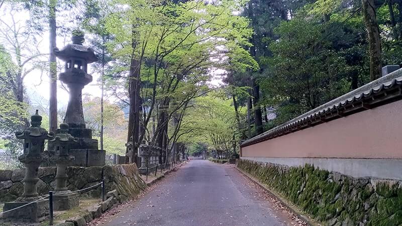 佛通寺｜西日本随一の臨済宗大本山の境内を巡る【広島三原旅】