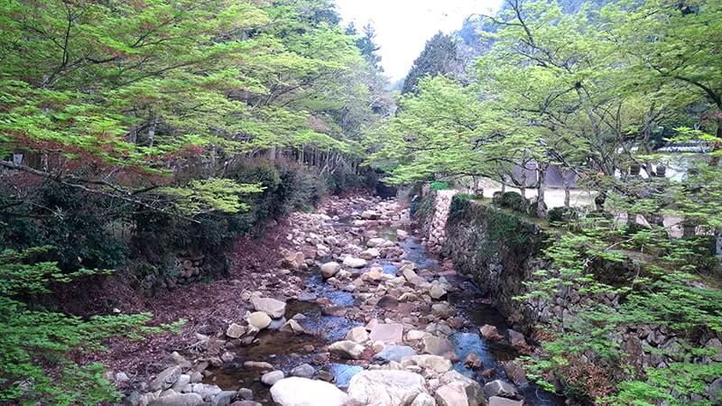 佛通寺｜西日本随一の臨済宗大本山の境内を巡る【広島三原旅】